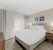 Sonesta ES Suites Austin The Domain Area hotel detail image 7