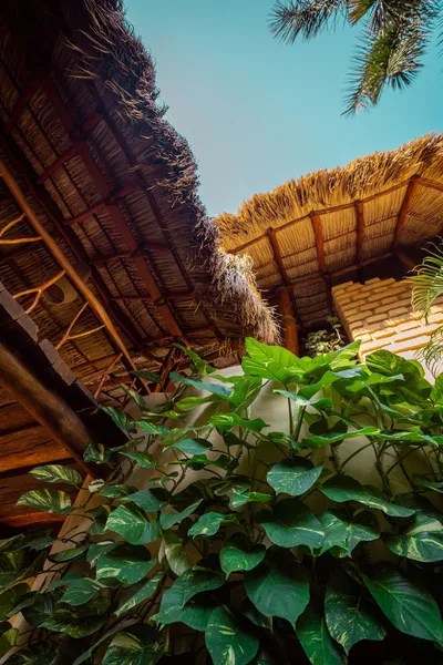 La Villa Luz Adults Only hotel detail image 6