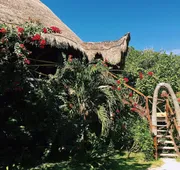 Amansala hotel detail image 5