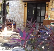 Villa Tortugas hotel detail image 3