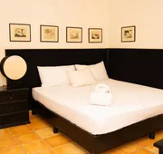 Siesta Fiesta Hotel hotel detail image 4