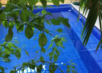 Hotel Las Salinas hotel thumbnail 4