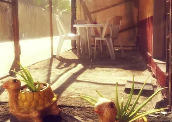 Hacienda la Catrina Holbox hotel thumbnail 3