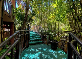 Cocos Cabañas Playa del Carmen Adults only hotel thumbnail 4