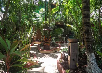 Cocos Cabañas Playa del Carmen Adults only hotel thumbnail 5
