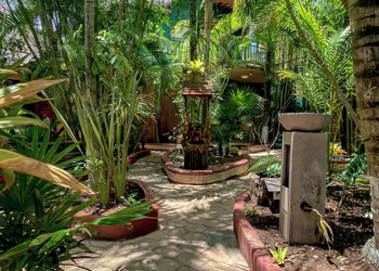 Cocos Cabañas Playa del Carmen Adults only hotel thumbnail 6