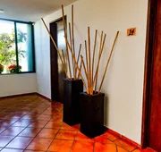 Hotel Los Girasoles Cancun hotel detail image 7