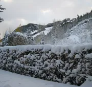 St. Moritz Lodge & Condominiums hotel detail image 4