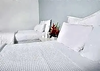 Carlton South Beach Hotel hotel thumbnail 3