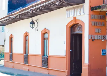 Hotel Villa de Flores hotel thumbnail 8