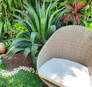 Casa Los Cantaros Hotel Boutique hotel detail image 7