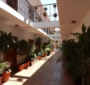 Cabo Cush Hotel hotel detail image 5