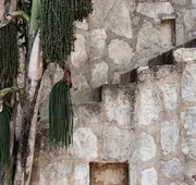 Coqui Coqui Papholchac Coba Residence & Spa hotel detail image 3