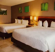 Hilton Garden Inn Boca del Rio Veracruz hotel detail image 3
