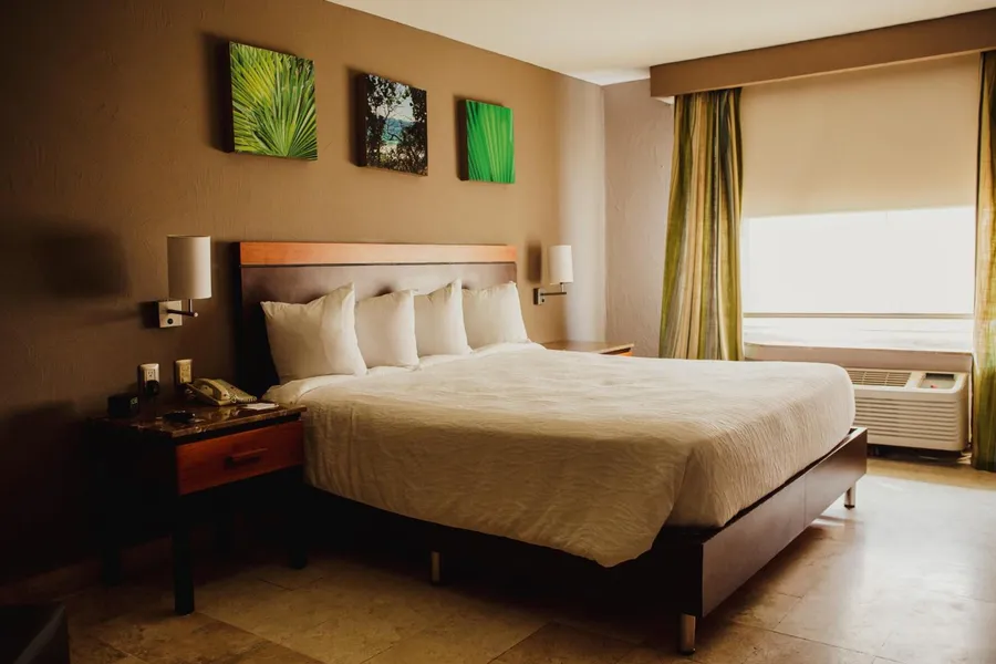 Hilton Garden Inn Boca del Rio Veracruz hotel detail image 6
