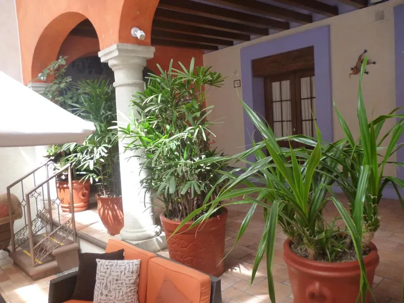 Hotel Trebol hotel detail image 2