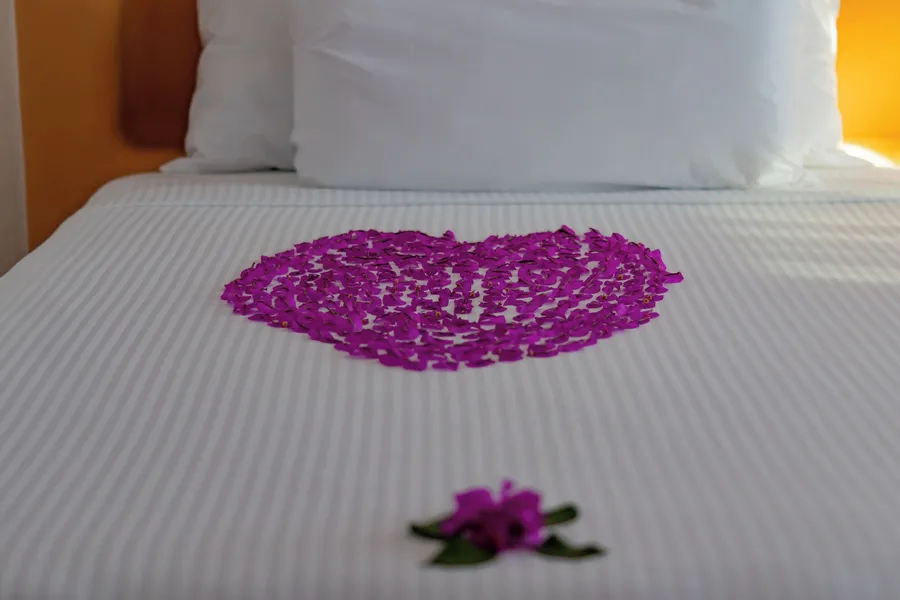 Hotel Irma hotel detail image 6