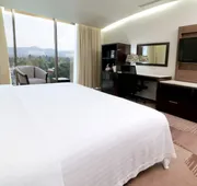 Holiday Inn Hotel & Suites Medica Sur by IHG hotel detail image 5