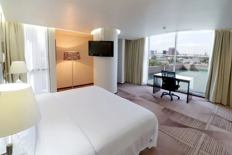 Holiday Inn Hotel & Suites Medica Sur by IHG hotel detail image 6