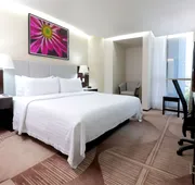 Holiday Inn Hotel & Suites Medica Sur by IHG hotel detail image 7