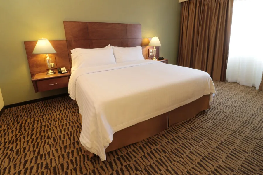 Holiday Inn Monterrey Norte by IHG hotel detail image 6