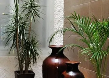 Marcella hotel thumbnail 5
