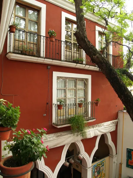 Hotel Ana Catalina & Suites hotel detail image 2