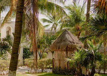 Hotel Puerto Holbox Beach Front hotel thumbnail 6