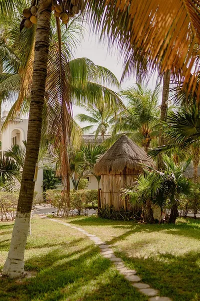 Hotel Puerto Holbox Beach Front hotel detail image 6