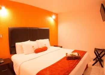 Hotel The Lit 13 hotel thumbnail 3