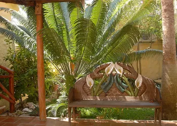 Hotel La Joya hotel thumbnail 8