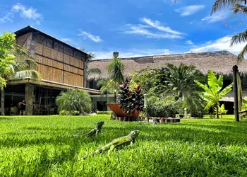 Casa Mandala Hotel hotel thumbnail 8
