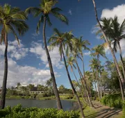 Waikoloa Beach Marriott Resort & Spa hotel detail image 4