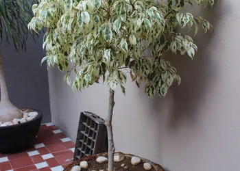 Entre Patios Hotel Boutique hotel thumbnail 3