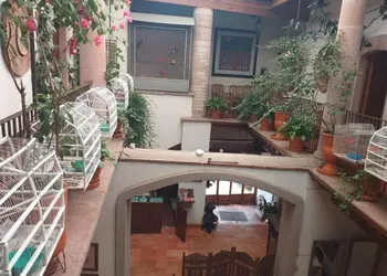 Casa del Pingorongo hotel thumbnail 5