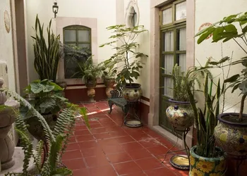 Casa del Pingorongo hotel thumbnail 8