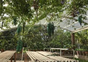 Los Naranjos Hotel Boutique hotel thumbnail 3