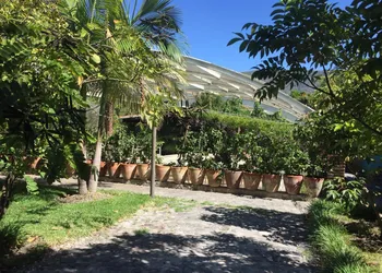 Los Naranjos Hotel Boutique hotel thumbnail 5