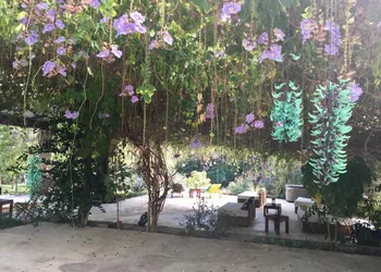 Los Naranjos Hotel Boutique hotel thumbnail 7