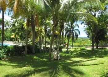 Club Seabourne Boutique Hotel hotel thumbnail 5