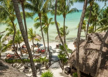 Beachfront Hotel La Palapa - Adults Only hotel thumbnail 3