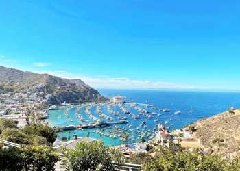 Catalina Courtyard Suites hotel thumbnail 4