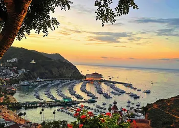 Catalina Courtyard Suites hotel thumbnail 5