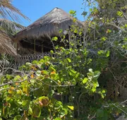 Nueva Vida de Ramiro hotel detail image 7