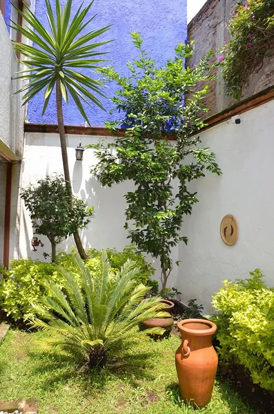 Casa Frida Coyoacan hotel detail image 6