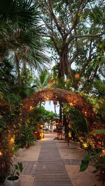 Hotel Colibri Beach hotel detail image 2