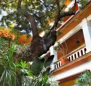 Parador Del Dominico hotel detail image 5