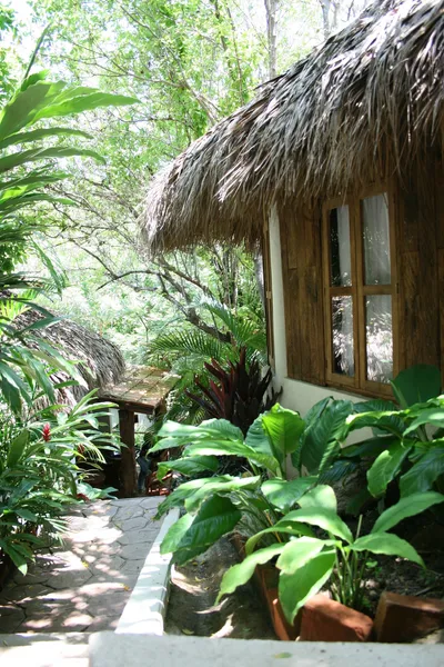 Cabanas Biuzaa hotel detail image 2