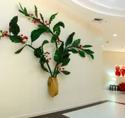 Holiday Inn Express Tapachula, Chis by IHG hotel detail image 7