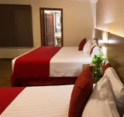 Del Marqués Hotel and Suites hotel detail image 4